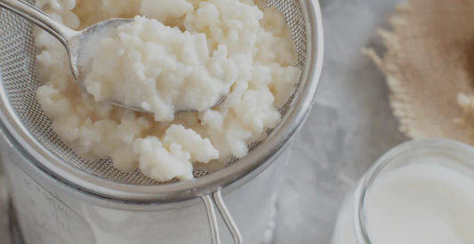 The Health Benefits of Kefir-An Introduction - In Harmony Farms