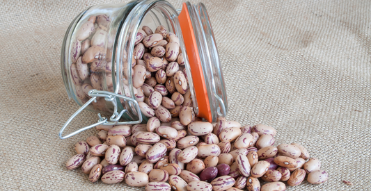 How To Pressure Can Pinto Beans - In Harmony Farms