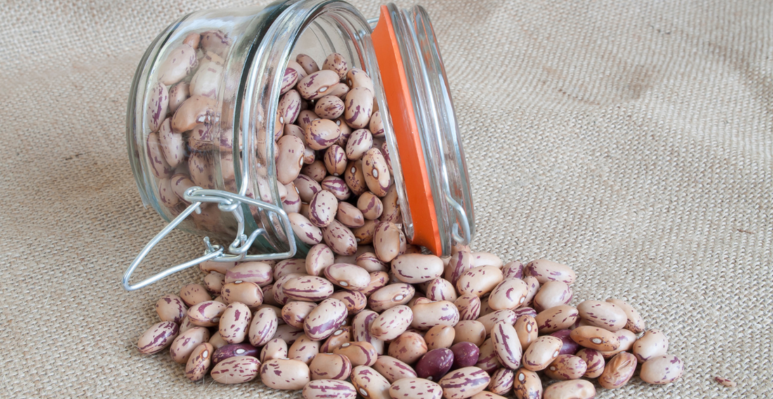 How To Pressure Can Pinto Beans - In Harmony Farms