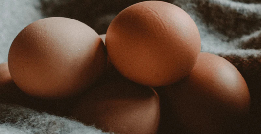 Do This Trick Now To See If Your Eggs Are Safe - In Harmony Farms
