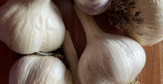 How to Grow, Harvest and Store Garlic: The Simple Way - In Harmony Farms
