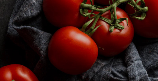 How to Grow Tomatoes The Easy Way - In Harmony Farms