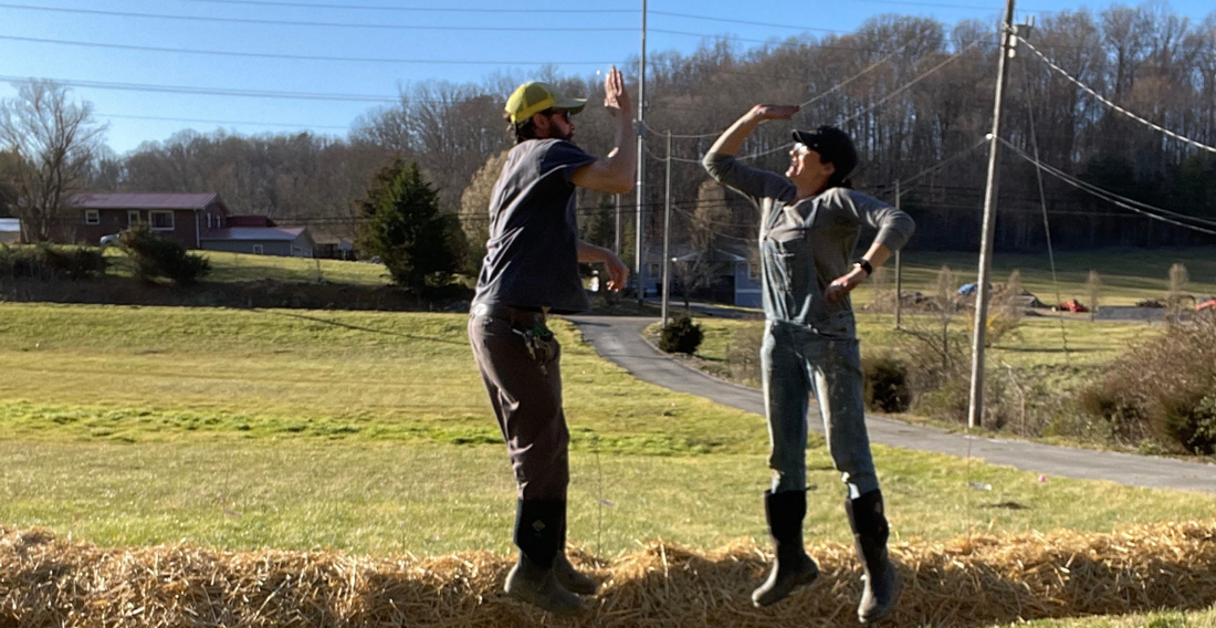 Stop Spending Money on Expensive Raised Beds, Do This Now - In Harmony Farms