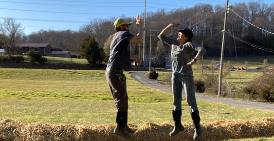 Stop Spending Money on Expensive Raised Beds, Do This Now - In Harmony Farms