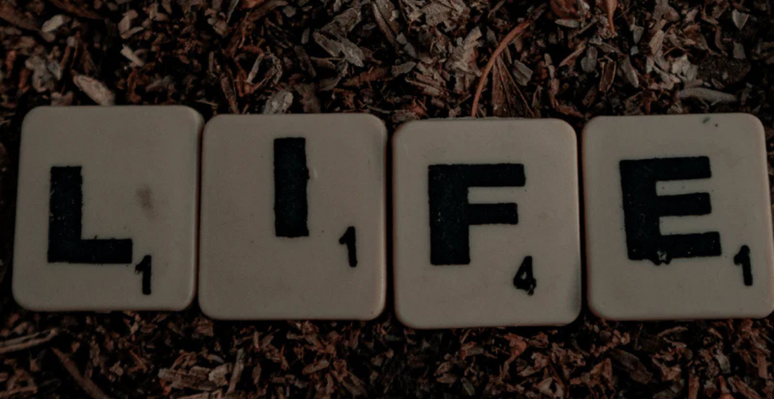 What Is Soil Fertility And Why It is Important - In Harmony Farms