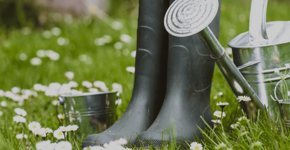 8 Ways to Prepare Your Garden For Spring Season - In Harmony Farms
