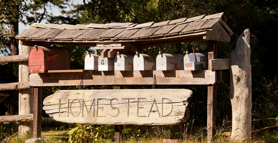 3 Essential Things You Need Right Now to Start Homesteading - In Harmony Farms