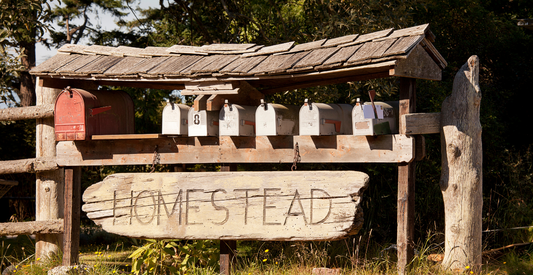 3 Essential Things You Need Right Now to Start Homesteading - In Harmony Farms