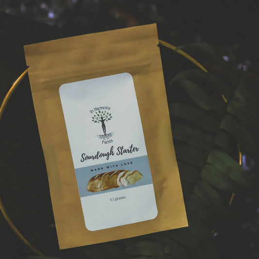 Yellow package of sourdough starter with a label on a dark background