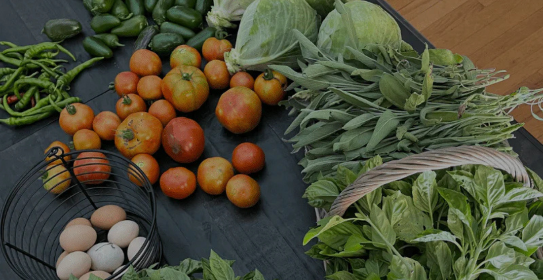 Top Five Foods You Can Grow Now - In Harmony Farms