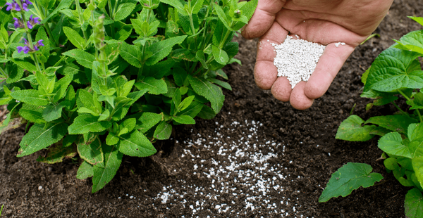 Top 10 Garden Amendments and How to Apply Them - In Harmony Farms