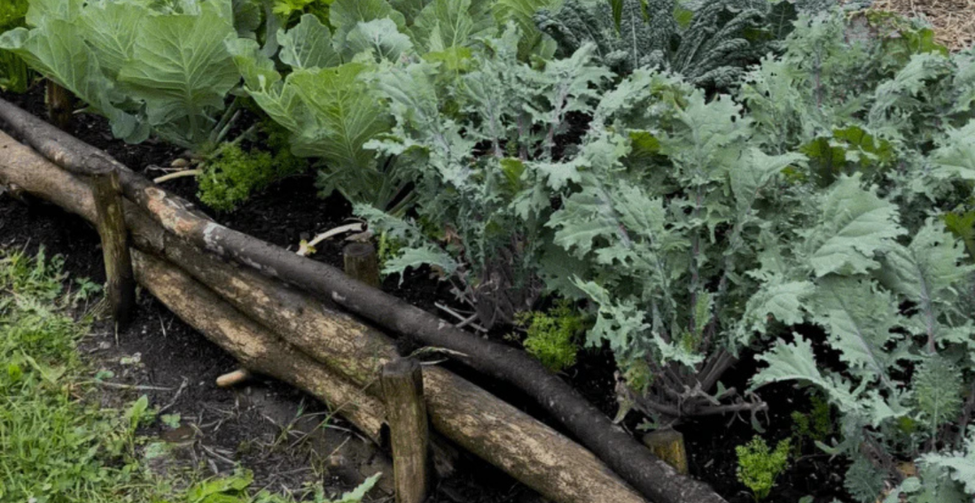 How to Set Up Proper Garden Beds - In Harmony Farms