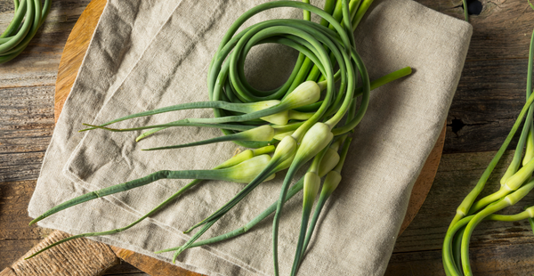 What Are Garlic Scapes & 7 Ways To Use Them - In Harmony Farms
