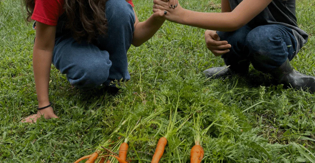 The Basics of Farming: What Kids Need To Know - In Harmony Farms