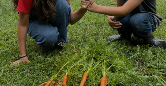 The Basics of Farming: What Kids Need To Know - In Harmony Farms