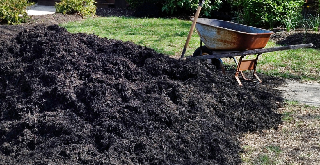 Is Mulch Really Important For A Garden? - In Harmony Farms