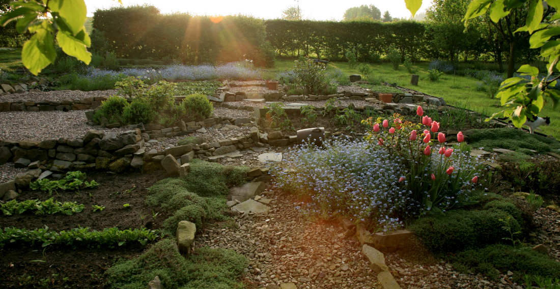 Why You Should Do Permaculture Gardening Now - In Harmony Farms