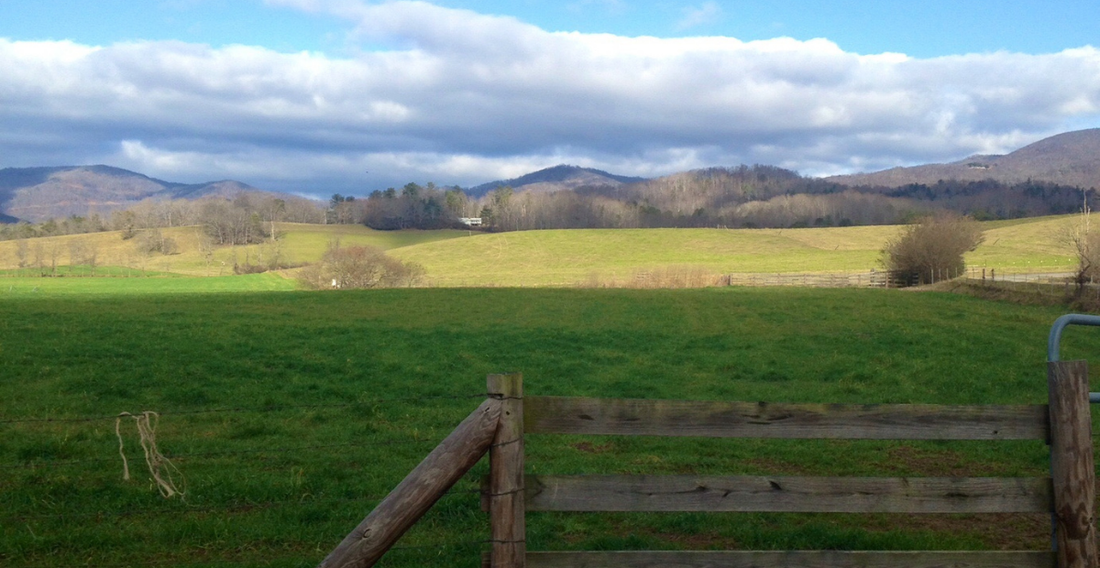 Why We Left The City For The Country Life - In Harmony Farms