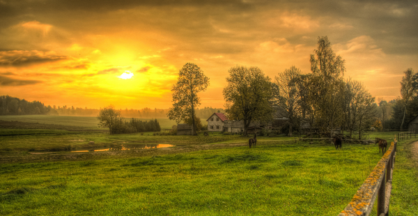 green meadow with a white farmhouse and a setting sun.